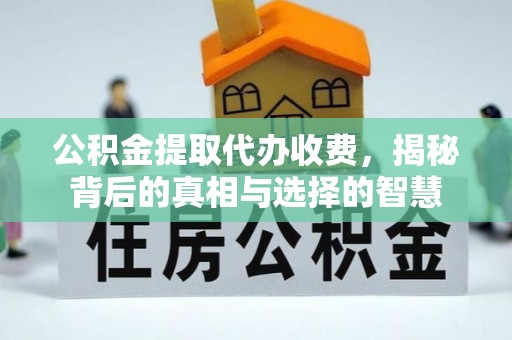 湘西公积金提取代办收费，揭秘背后的真相与选择的智慧