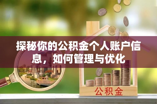 湘西探秘你的公积金个人账户信息，如何管理与优化