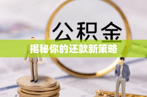 湘西揭秘你的还款新策略