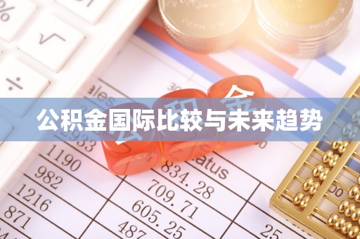 湘西公积金国际比较与未来趋势