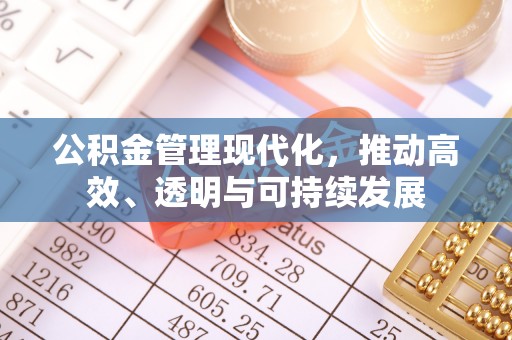 湘西公积金管理现代化，推动高效、透明与可持续发展