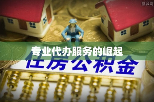 湘西专业代办服务的崛起