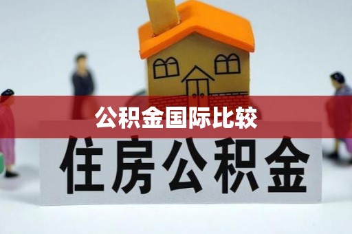 湘西公积金国际比较