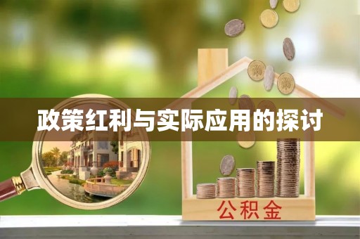 湘西政策红利与实际应用的探讨