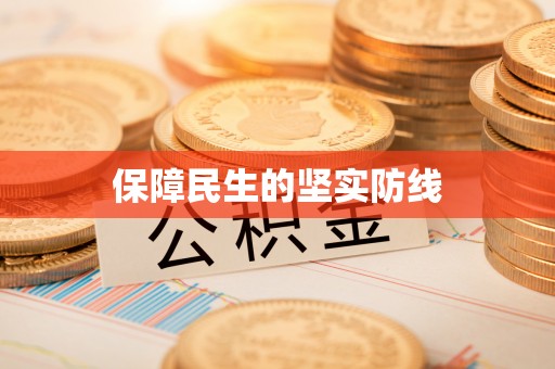 湘西保障民生的坚实防线