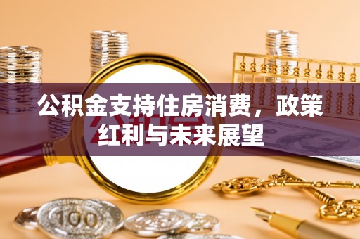 湘西公积金支持住房消费，政策红利与未来展望