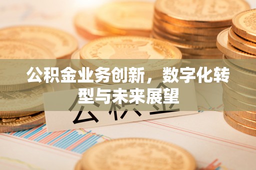 湘西公积金业务创新，数字化转型与未来展望