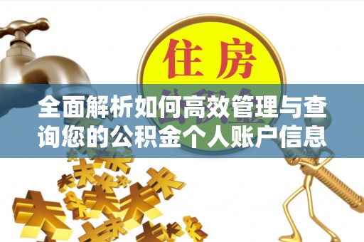 湘西全面解析如何高效管理与查询您的公积金个人账户信息