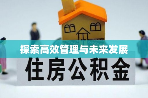 湘西探索高效管理与未来发展