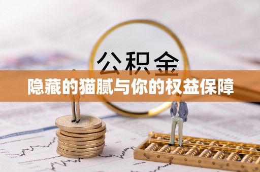 湘西隐藏的猫腻与你的权益保障