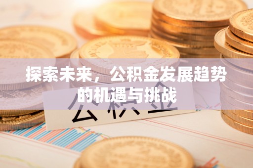 湘西探索未来，公积金发展趋势的机遇与挑战