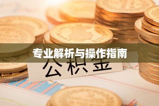 湘西专业解析与操作指南