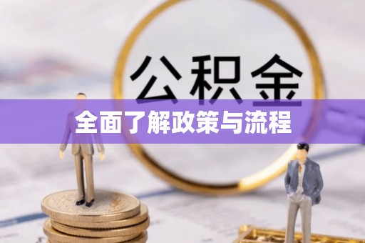湘西全面了解政策与流程