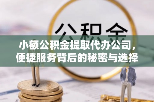 湘西小额公积金提取代办公司，便捷服务背后的秘密与选择指南