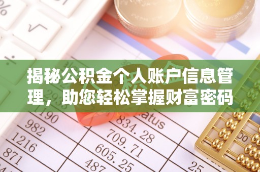 湘西揭秘公积金个人账户信息管理，助您轻松掌握财富密码