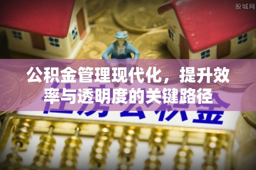 湘西公积金管理现代化，提升效率与透明度的关键路径