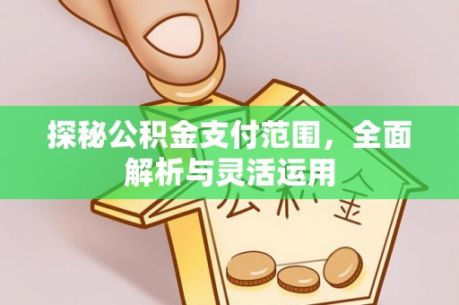湘西探秘公积金支付范围，全面解析与灵活运用