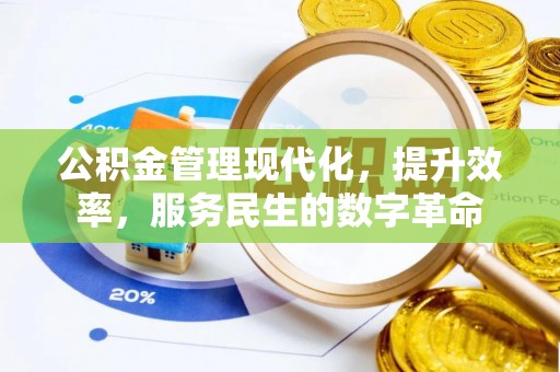 湘西公积金管理现代化，提升效率，服务民生的数字革命
