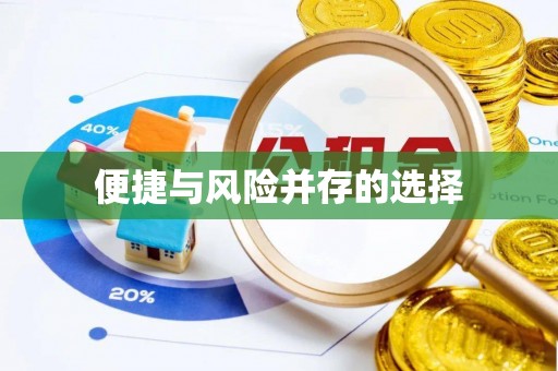 湘西便捷与风险并存的选择